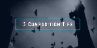 5 Composition Tips