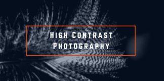 High Contrast Photography