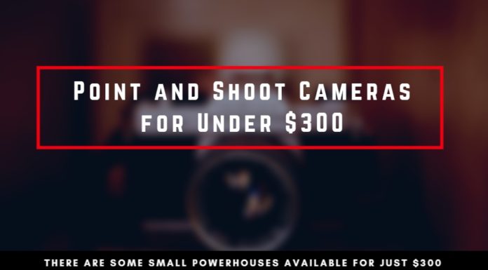 Best Point and Shoot Cameras for Under $300