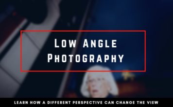 Low Angle Photography