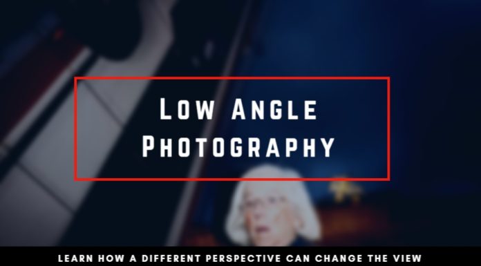 Low Angle Photography