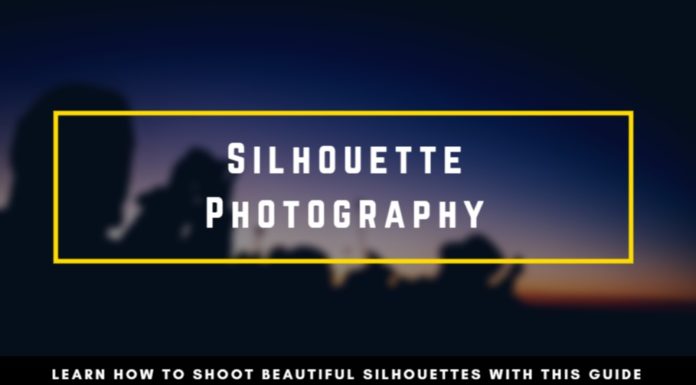 Silhouette Photography
